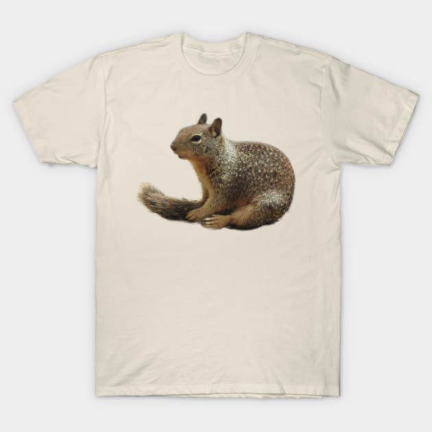 Squirrel, wildlife, Squirrely Cuteness T-Shirt by sandyo2ly